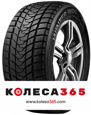 6921109028921 Delinte Winter WD1 205 65 R16 95 T